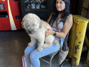 FF6F0D53-99A9-4F53-AD00-75E1B68EBBD4