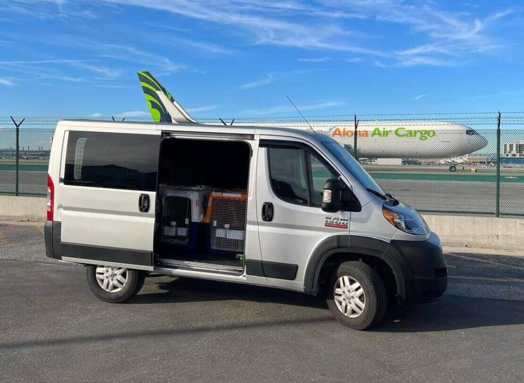 international-pet-transportation-services