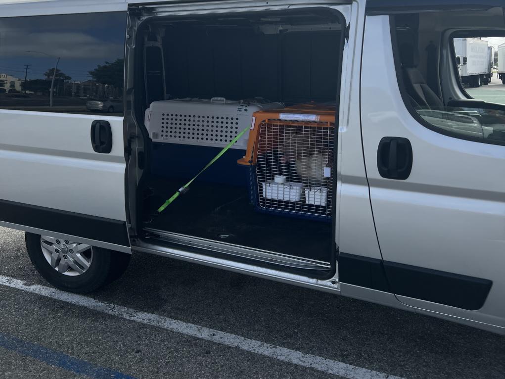 7290672A-DF70-4F1D-AD0A-A1D771504797