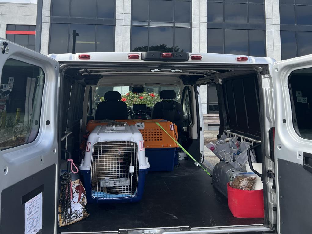 C7BBC3F0-5C36-4DD9-BD21-B56746B76765