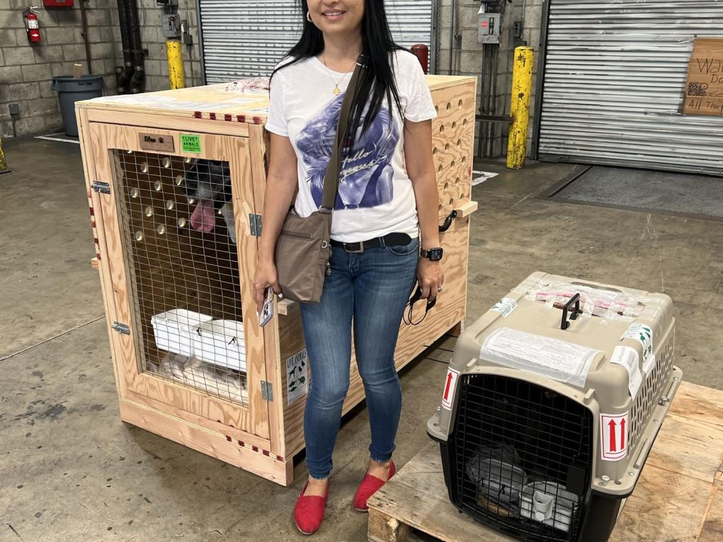 066EAF40-79C2-4EA6-9D15-515ACB4EFB31