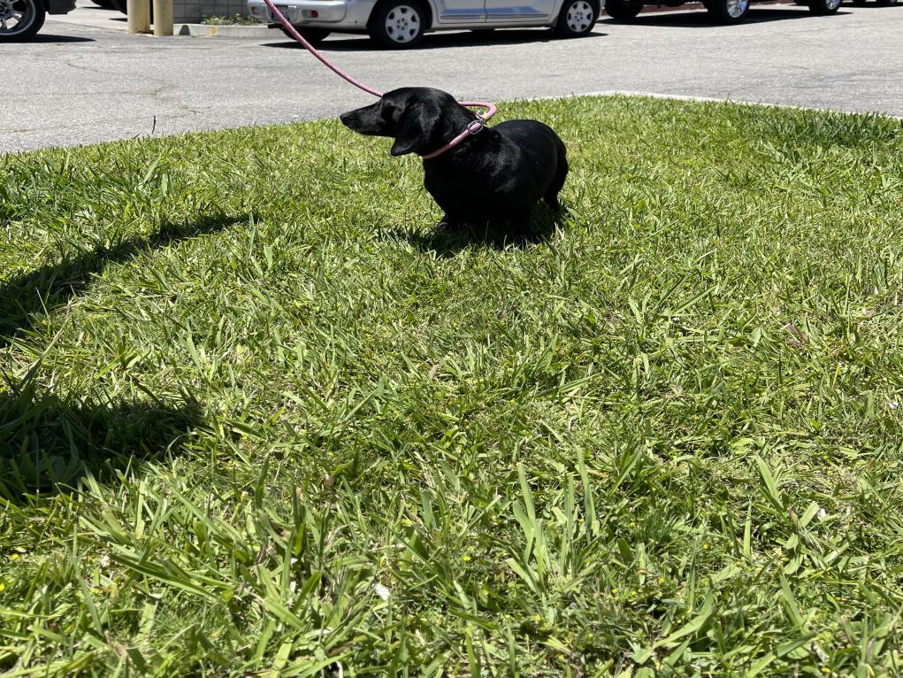 13DCF56B-E38C-49E0-80DA-1A7489853955