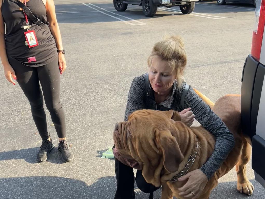 E2F32909-D54E-4EE9-B08B-84FAF41694B4