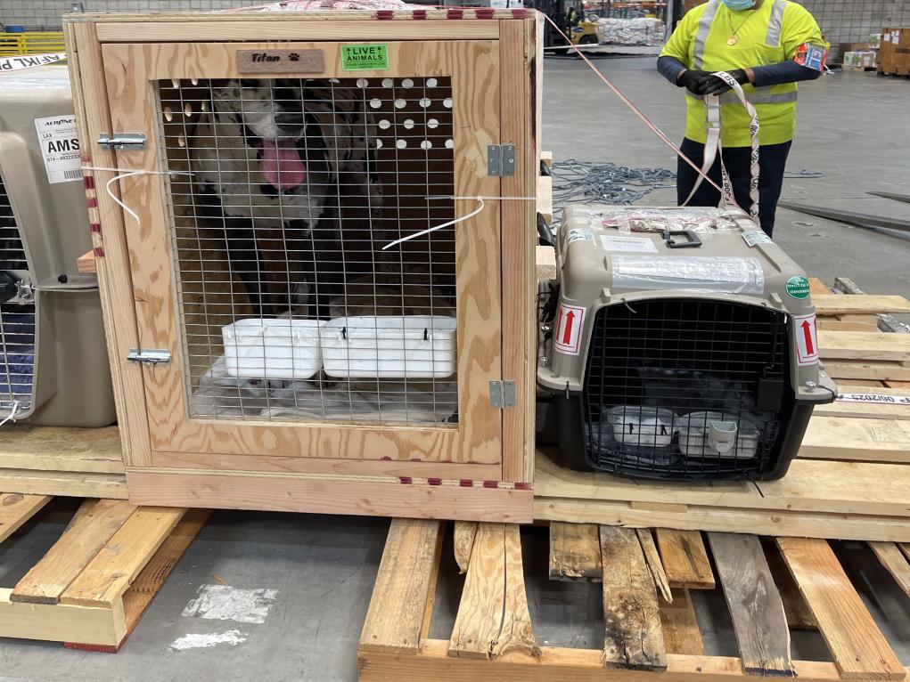 C9AA0E64-FBFF-428D-BF9C-02E75A060774