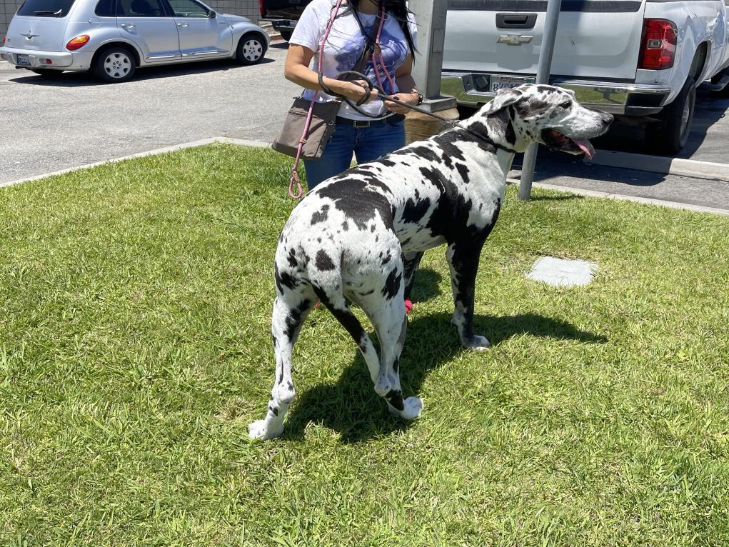 7E0E4C0B-28FE-437D-ACAC-B1FFCF6673F0