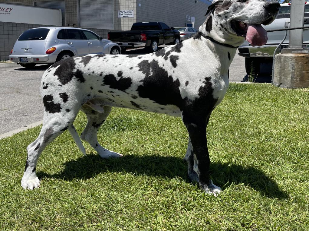 8471F8A4-CBE8-469E-AFA2-12BA7FDCCF81