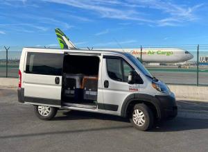 international-pet-transportation-services