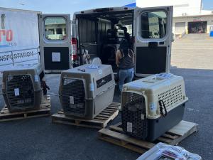 D13B58BD-B2DF-4C3A-809E-AAE80AF620E1