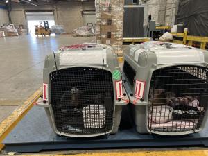 7A78B5BD-DDFC-4CDA-B3B4-0D624B11AE26