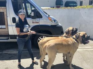 016DFAF0-32BE-4587-9527-87BA9DF68AEE