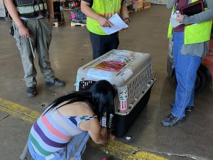 CD8F218E-FE52-4277-B28C-26BFD7FDBD71