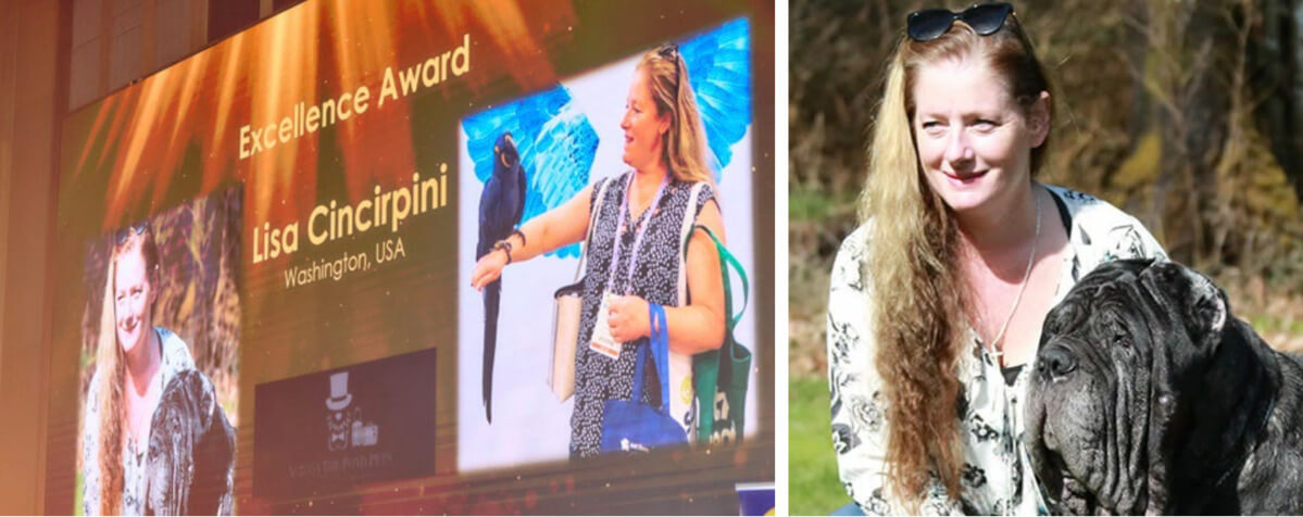 Across The Pond Pet Transit IPATA Excellence Award 2025