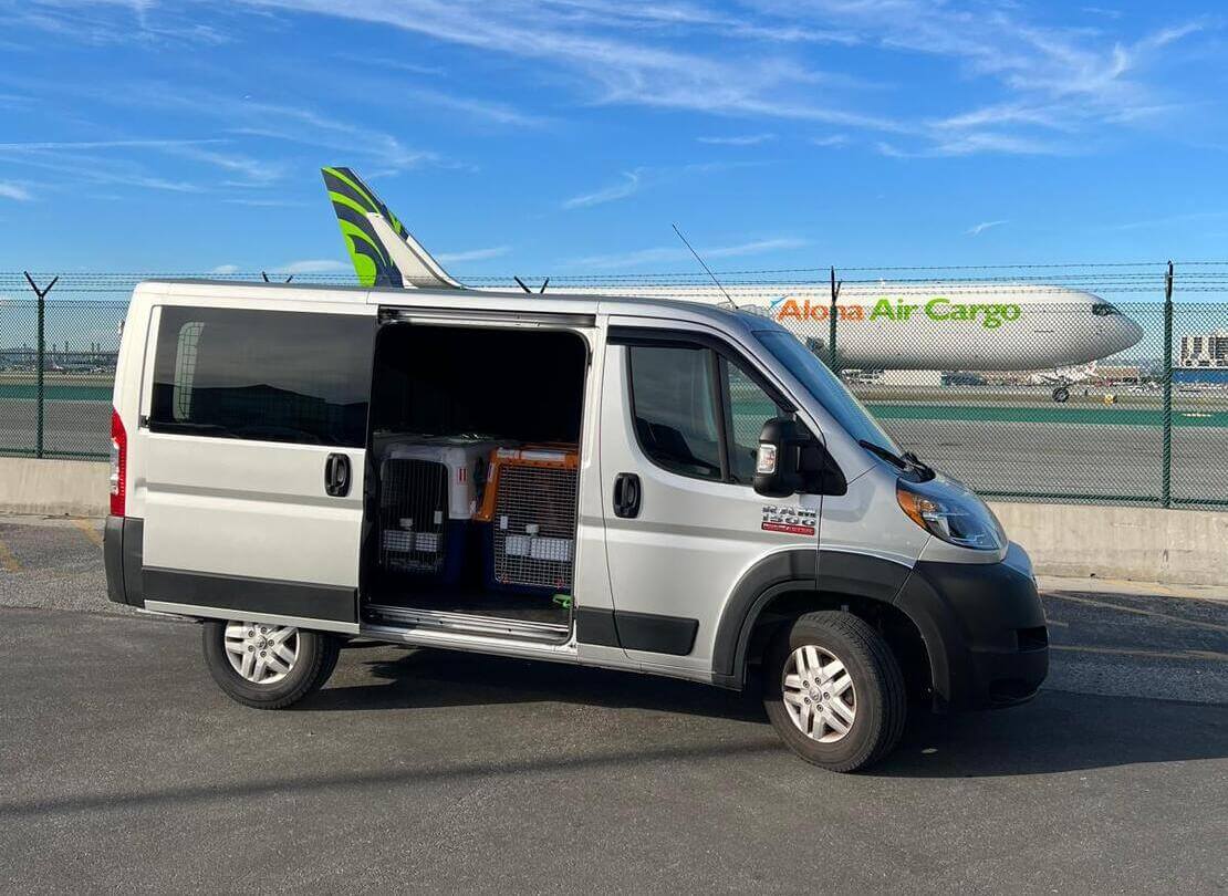 Best pet transport service