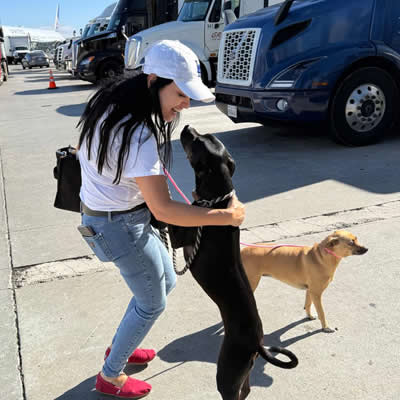 Pepper and Roni flying Southern California LAX to Dublin