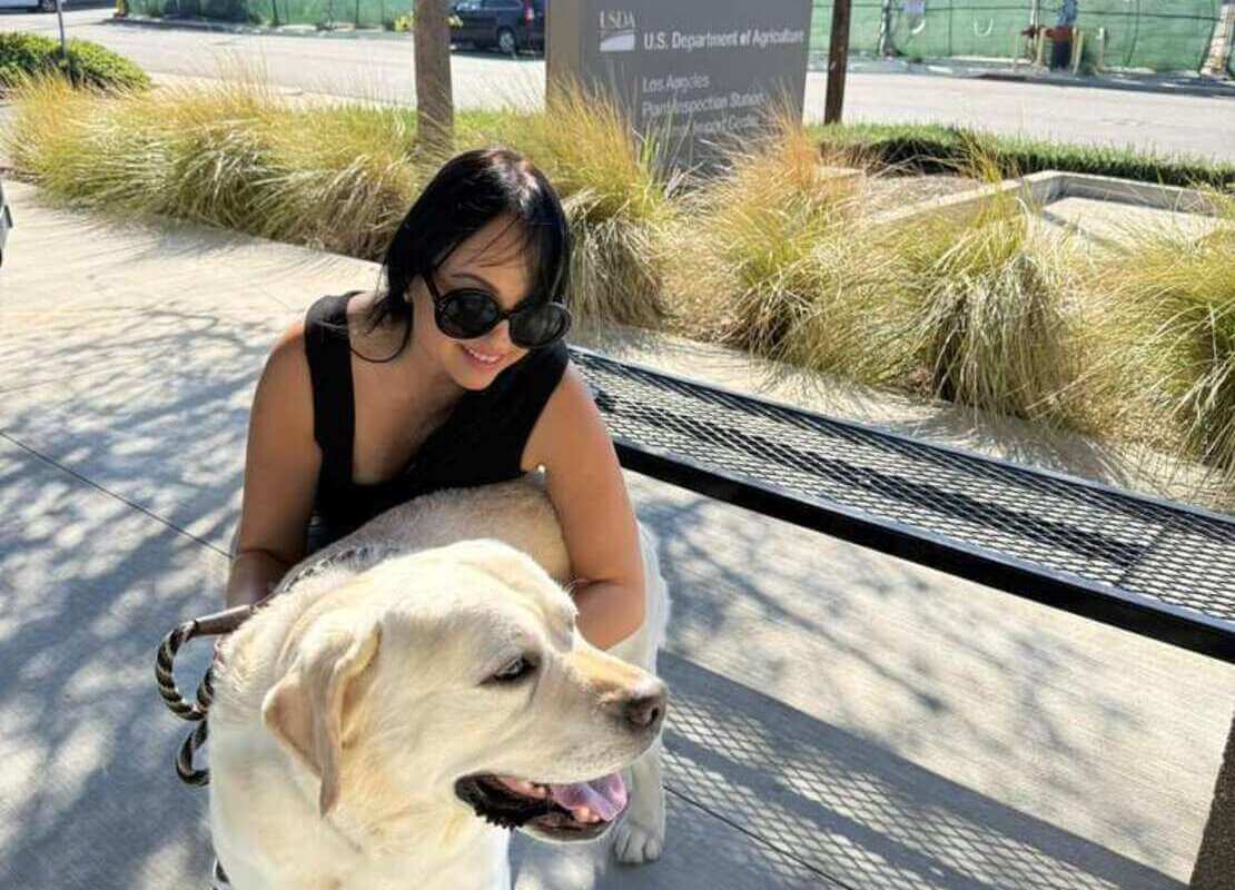 International Pet Transportation to New Zeland