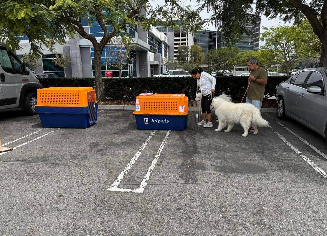 Pet crate fitting