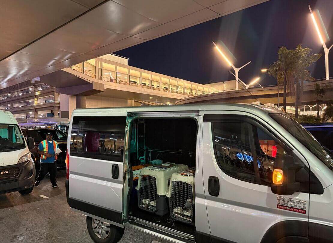 Southern California pet transportation service
