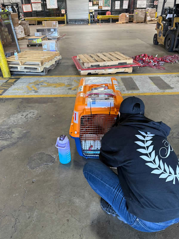 Sonny at Qantas Airlines before his flight to Australia