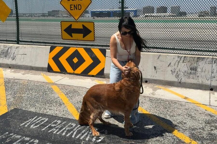 Tucker the dog with Across The Pond Pets transporter Anna at LAX during his connection to Costa Rica