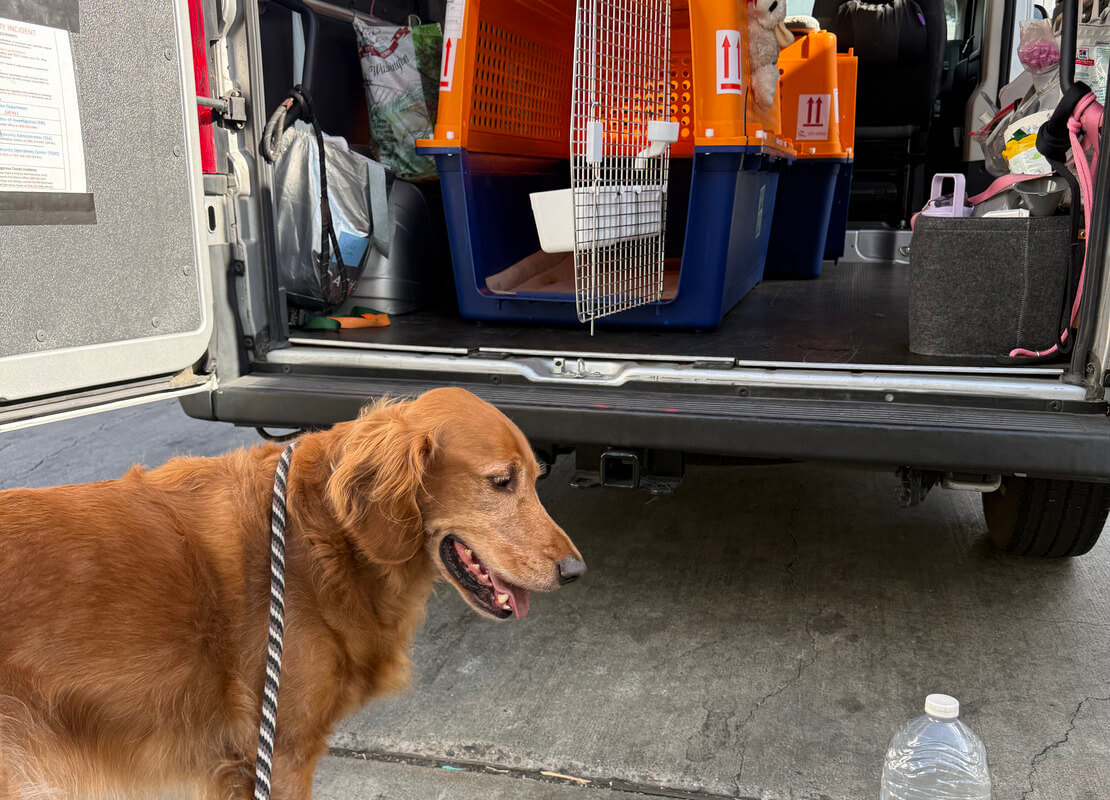 Pet Relocation to Costa Rica