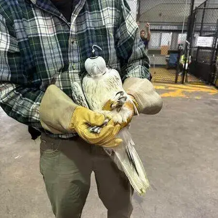 Secure Exotic Animal Transport