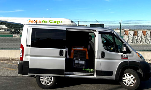 Full logistics support for pet transportation