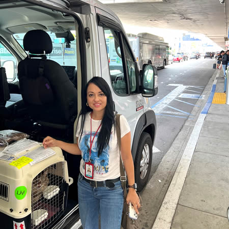 Professional international pet shipping service for dogs, cats and exotic animals