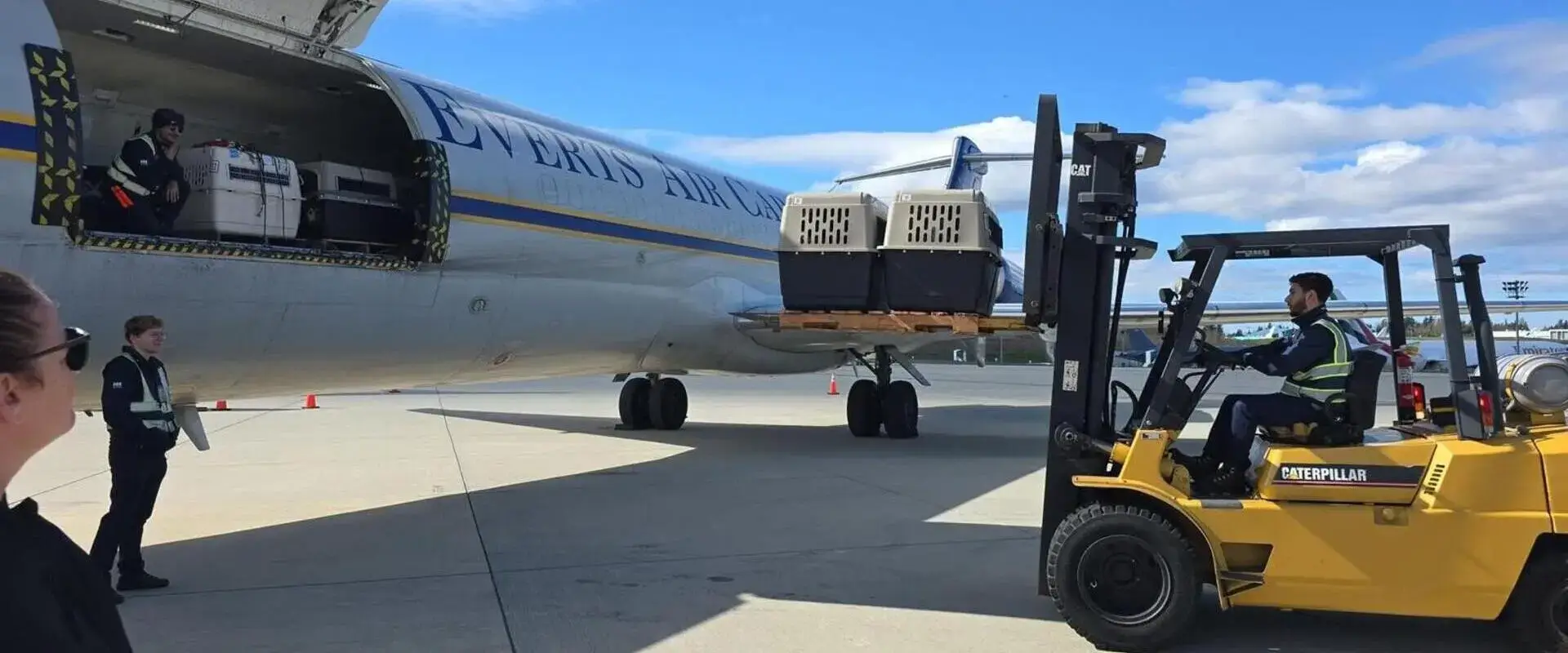 Dog and cat in IATA-approved travel crates ready for international pet shipping with Across The Pond Pets