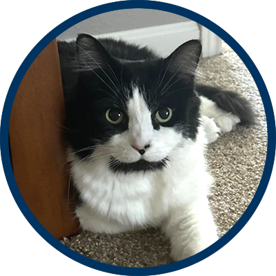 Sarah G. - Across The Pond Pets review