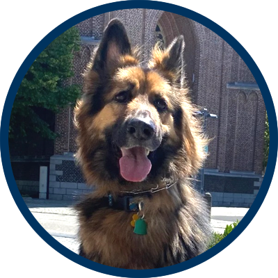 Anna-Marie Drovdlic - Across The Pond Pets review